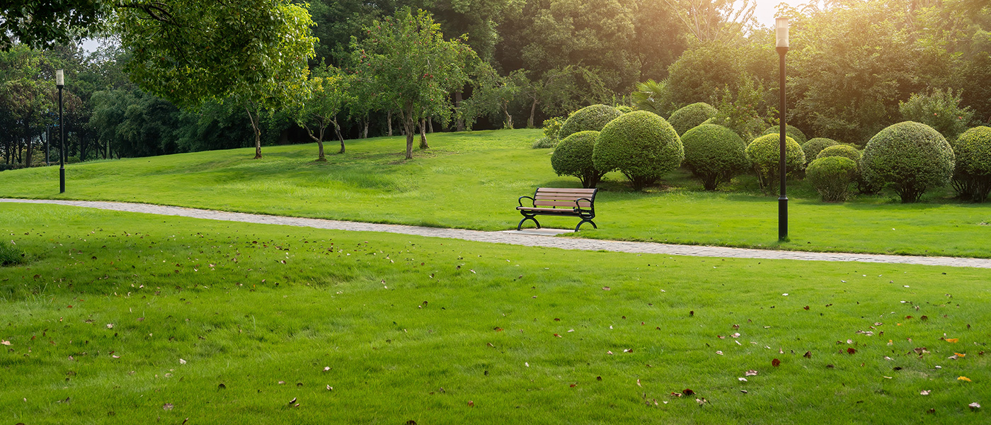 Peyzaj Alanları Yönetimi